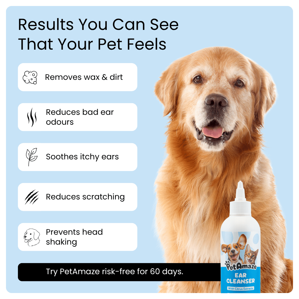Dog with PetAmaze ear cleanser bottle on a blue background with product benefits listed.