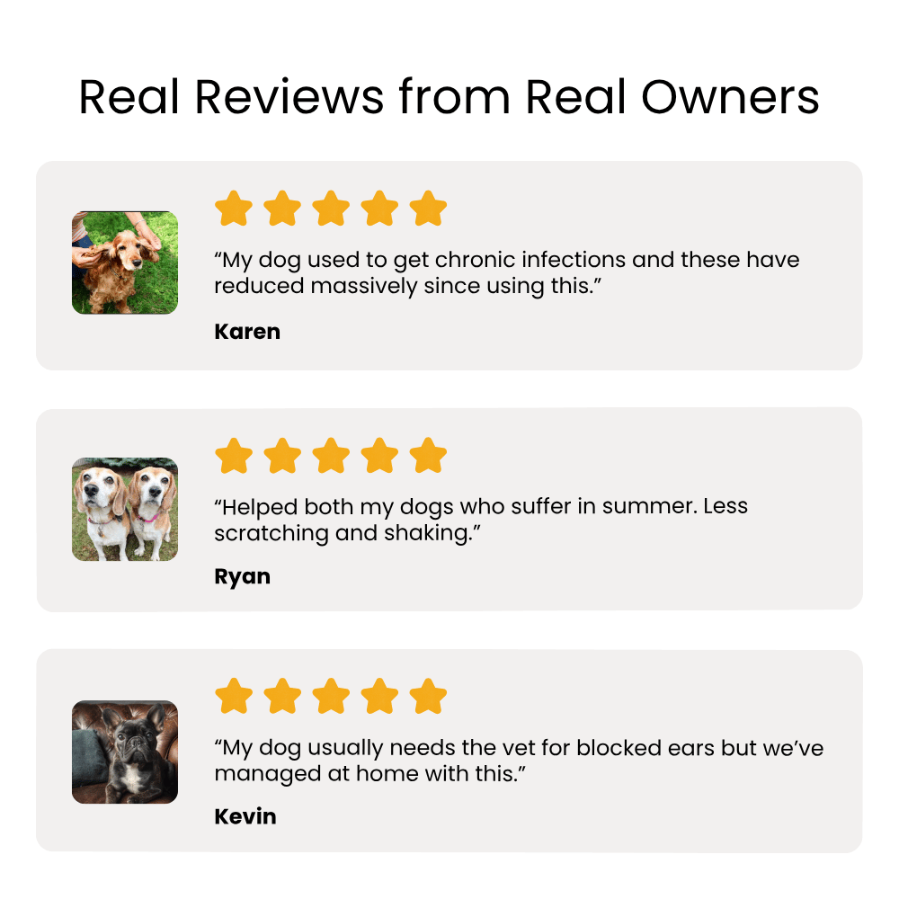 Reviews from real owners about a product for dogs, with star ratings and brief comments.