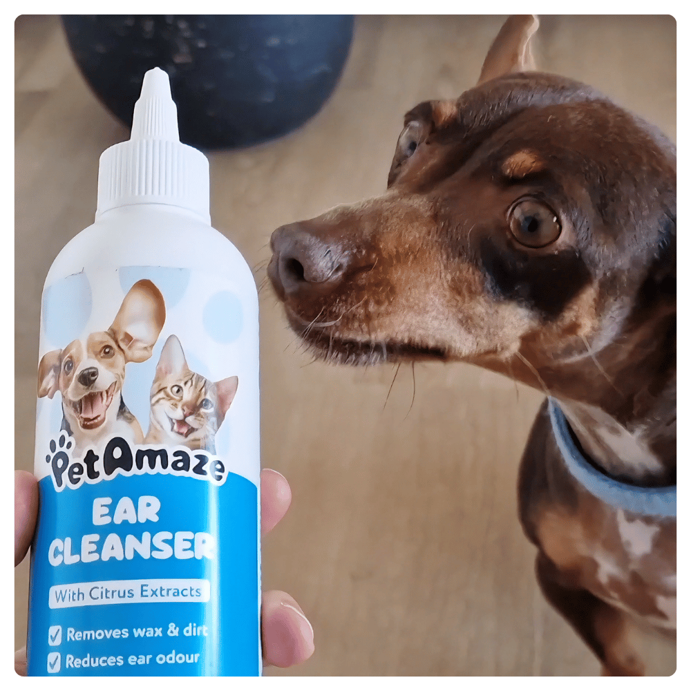 Ear Cleanser with Citrus Extracts - 250ml