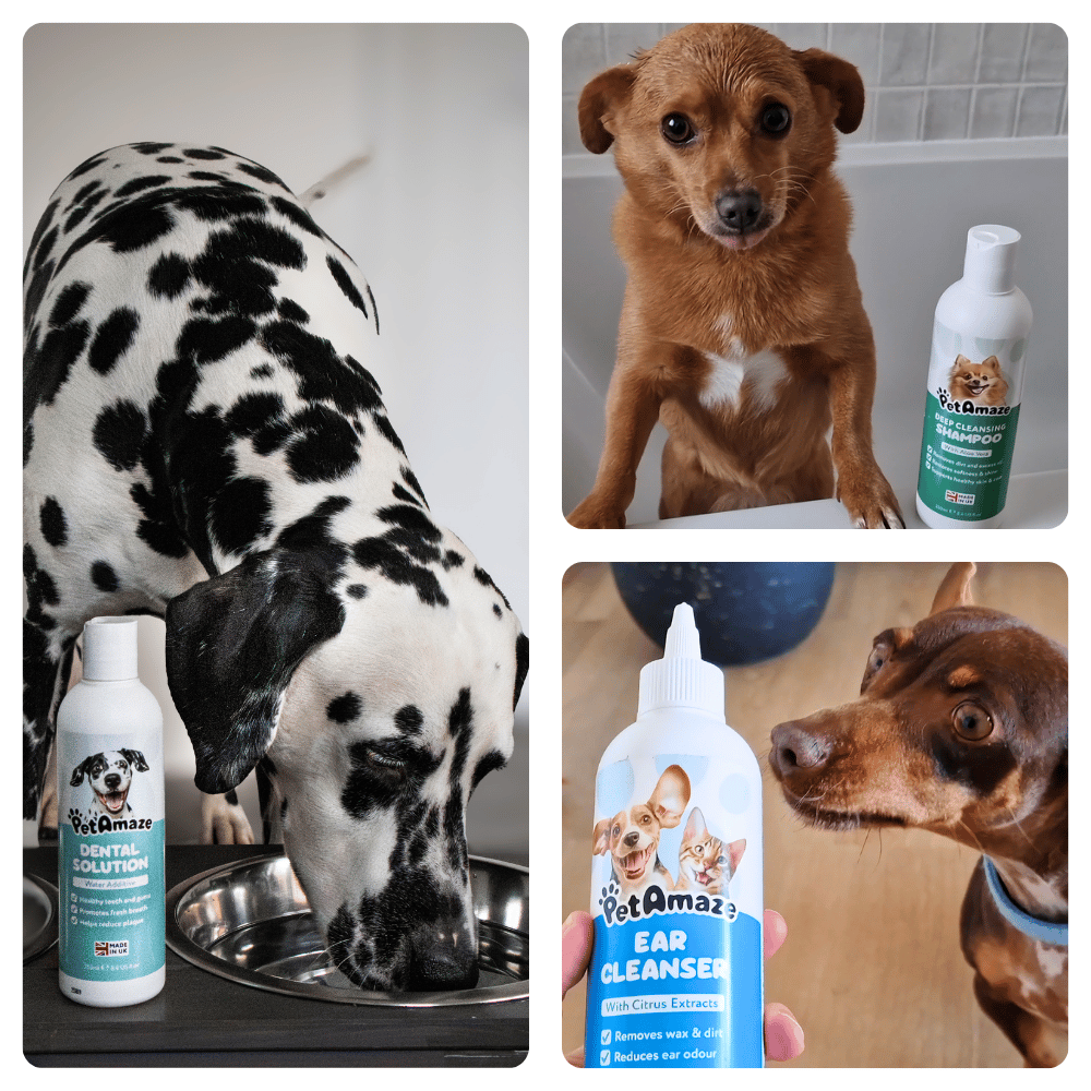 Collage of dogs using PetAmaze pet care products.
