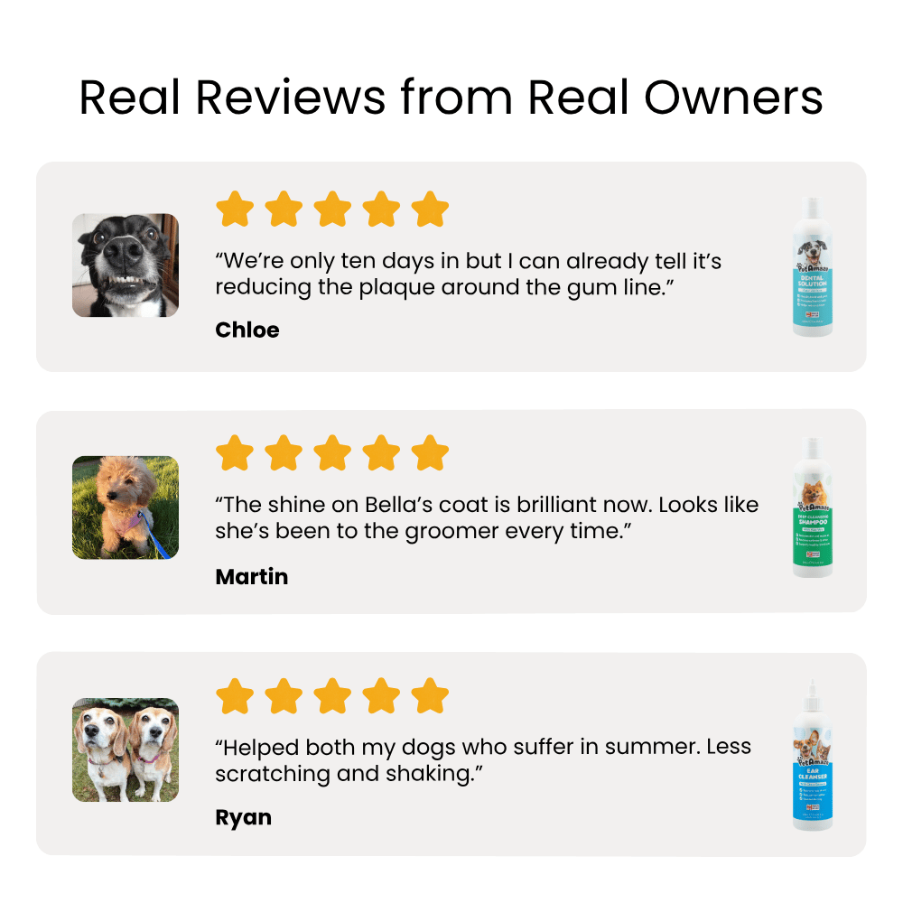 Product reviews from real owners with images of dogs and product bottles.