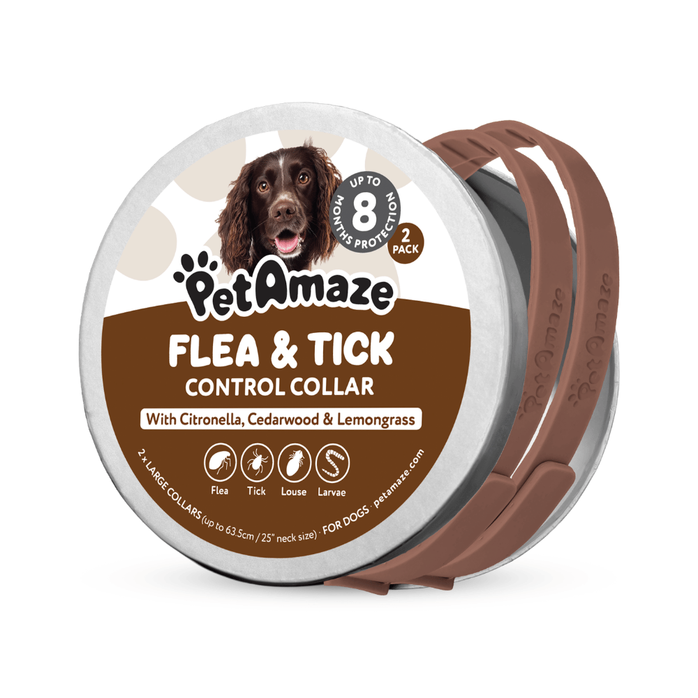 PetAmaze flea and tick control collar packaging with a dog on the label.