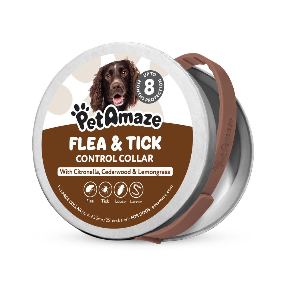 PetAmaze flea and tick control collar packaging with a dog on the label.