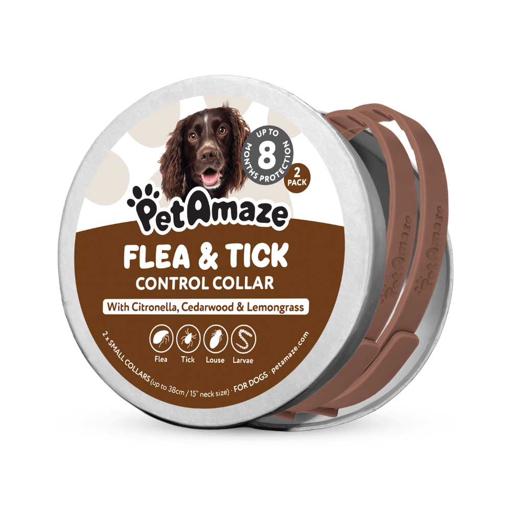 PetAmaze flea and tick control collar packaging with a dog on the label.