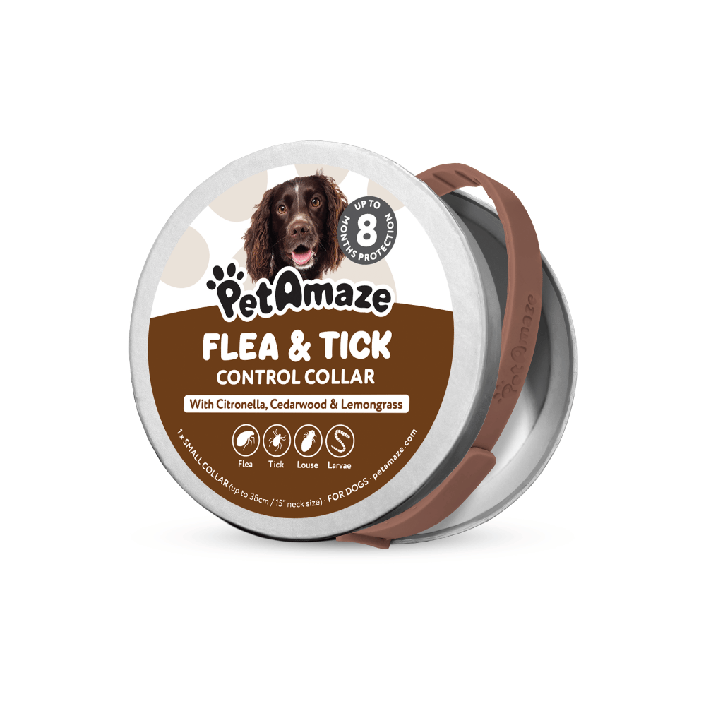 PetAmaze flea and tick control collar packaging with a dog illustration on a white background