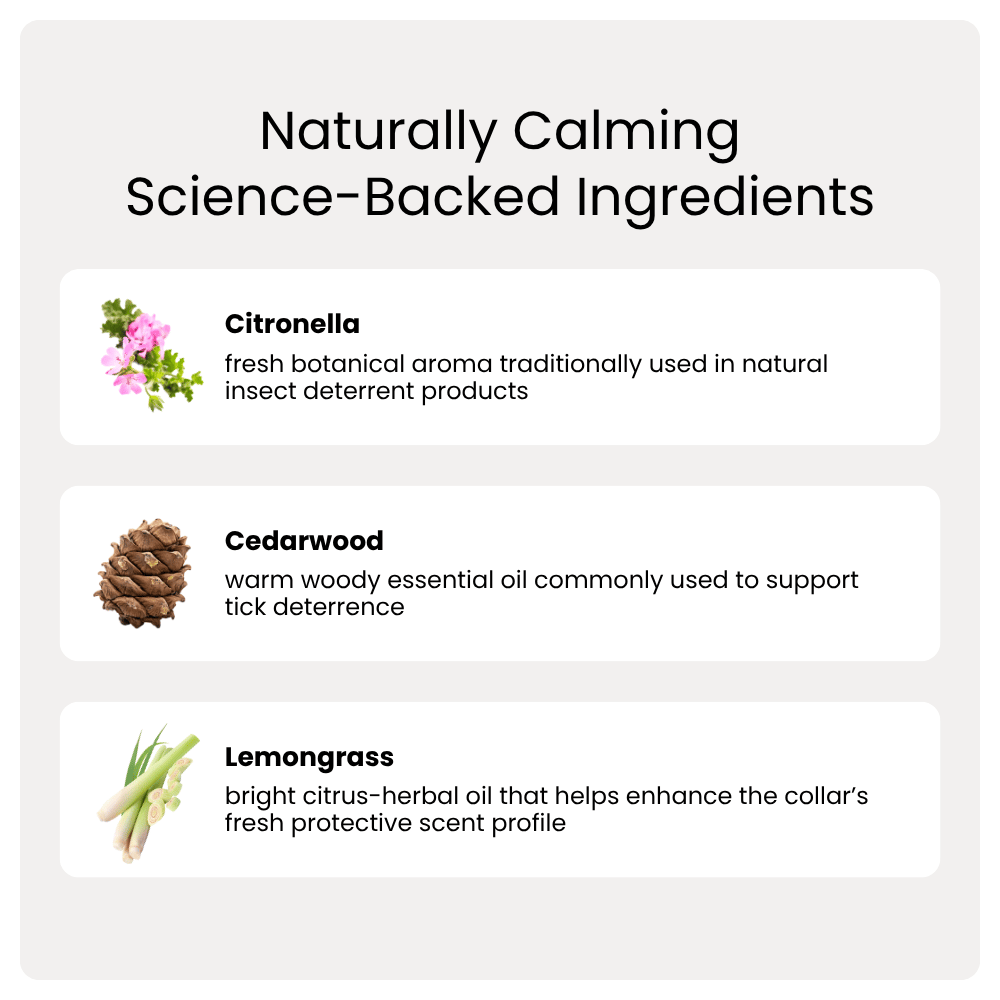 List of naturally calming ingredients with images and descriptions on a white background