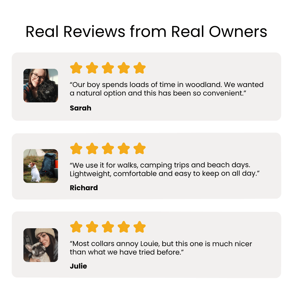 Reviews from real owners about a product, with star ratings and brief comments.