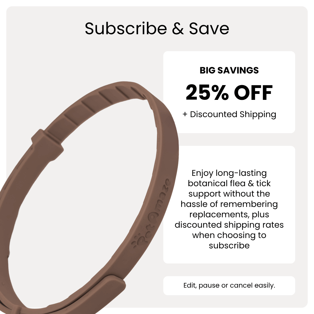 Brown pet collar with subscription offer text on a white background