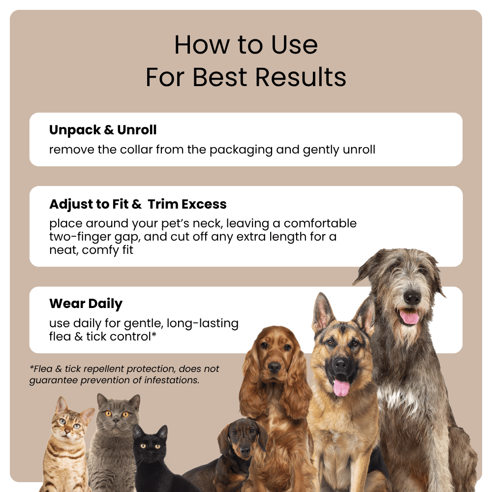 Instructions on using a pet collar with images of cats and dogs.