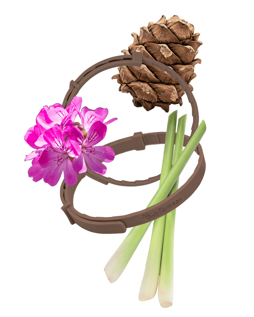 Brown silicone collar with pink flower, pine cone, and green onions on a transparent background