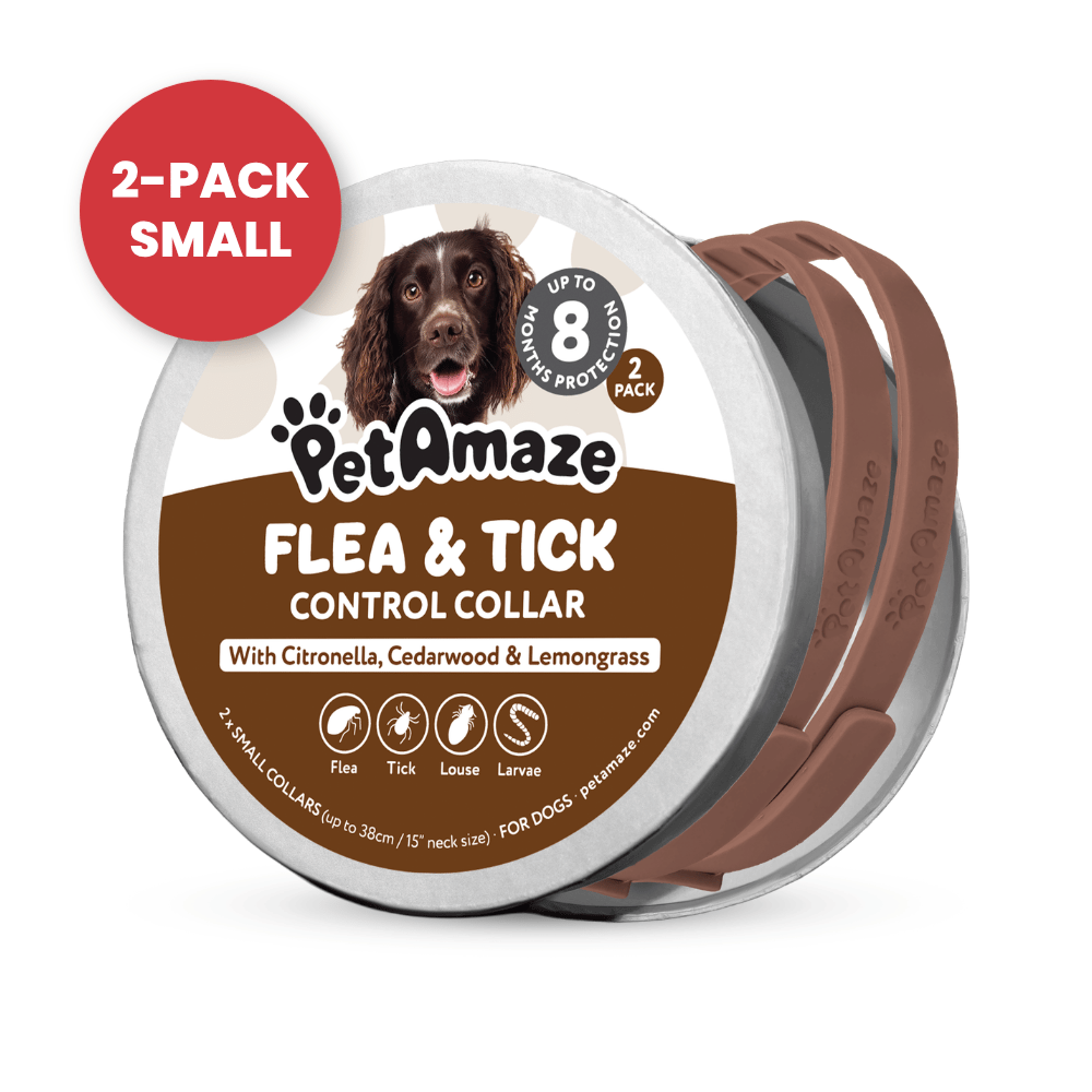 Flea & Tick Control Collar for Dogs