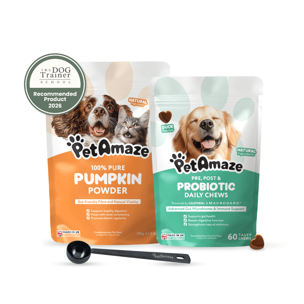 PetAmaze bundle pumpkin powder probiotic daily chews the dog trainer school recommended product 2026