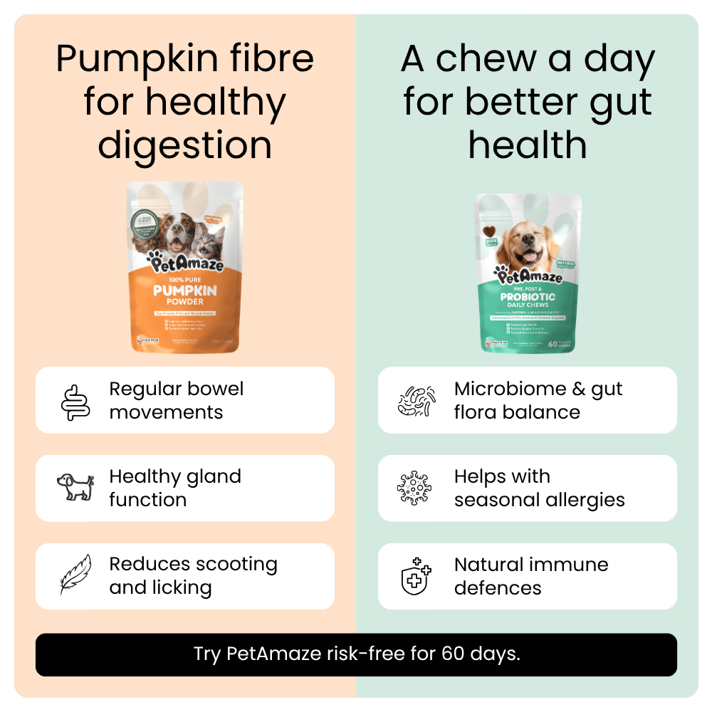PetAmaze probiotic daily chews and pumpkin powder benefits