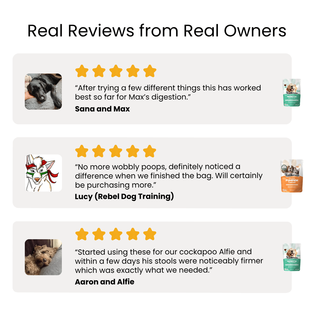 Real reviews for PetAmaze products with star ratings