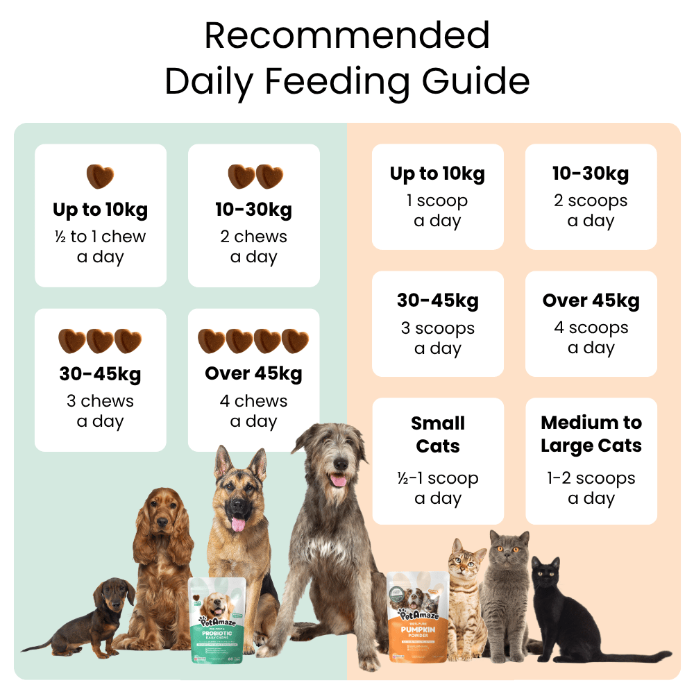 Feeding guide for dogs and cats with images of different breeds and recommended counts and dosages.