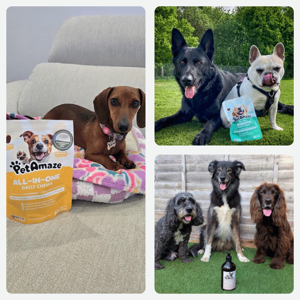 Collage of different breeds of dogs sitting next to PetAmaze products