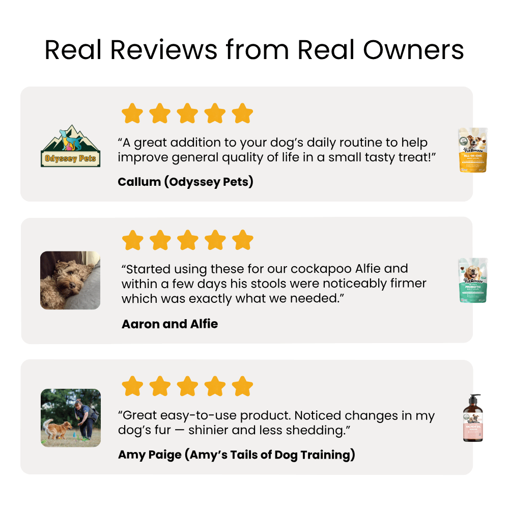 Real reviews for PetAmaze products with star ratings