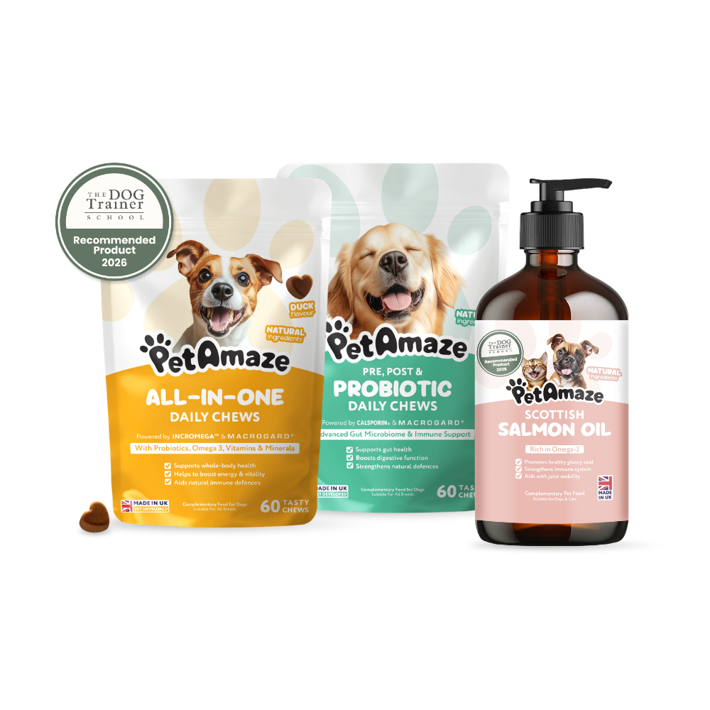 PetAmaze pet care products including daily chews and salmon oil on a white background
