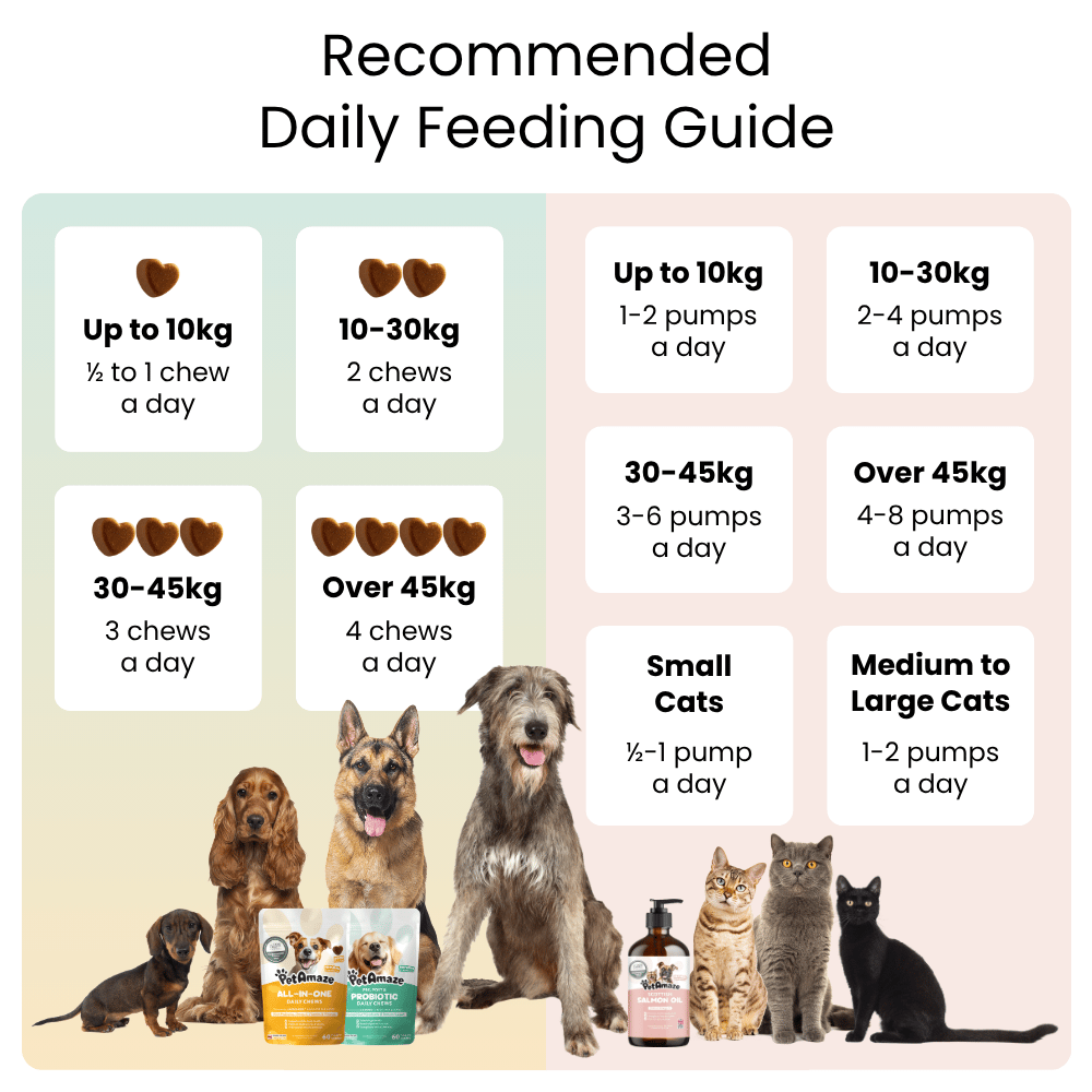 Feeding guide for dogs and cats with images of various pets and product packaging.