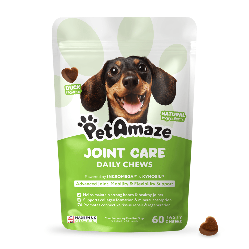 PetAmaze Joint Care Daily Chews packaging for dogs with a dog's face on the label.
