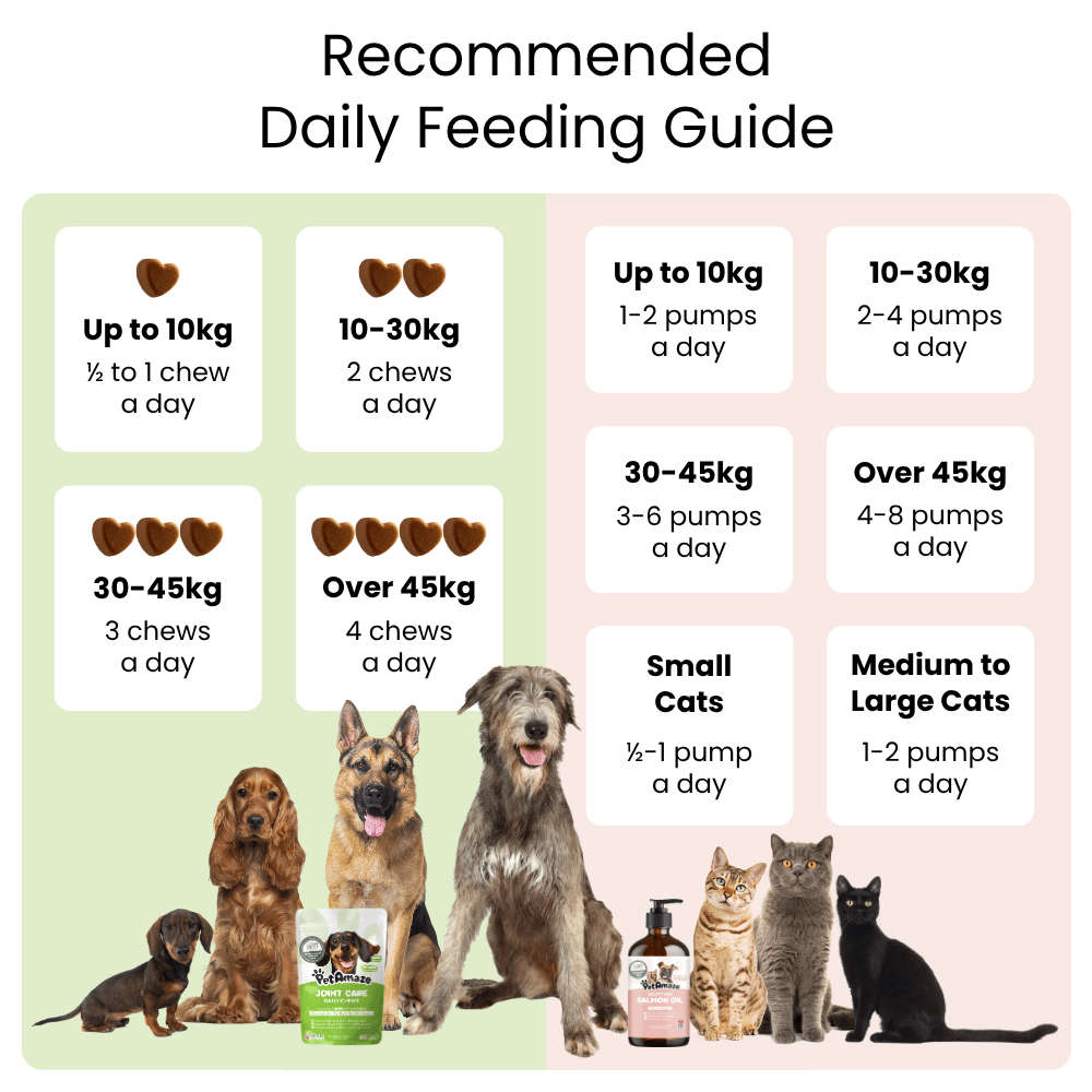 Joint Care Routine