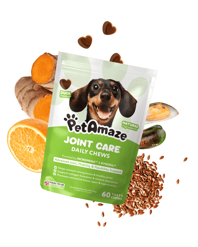 PetAmaze Joint Care Daily Chews packaging with a dachshund on a green background
