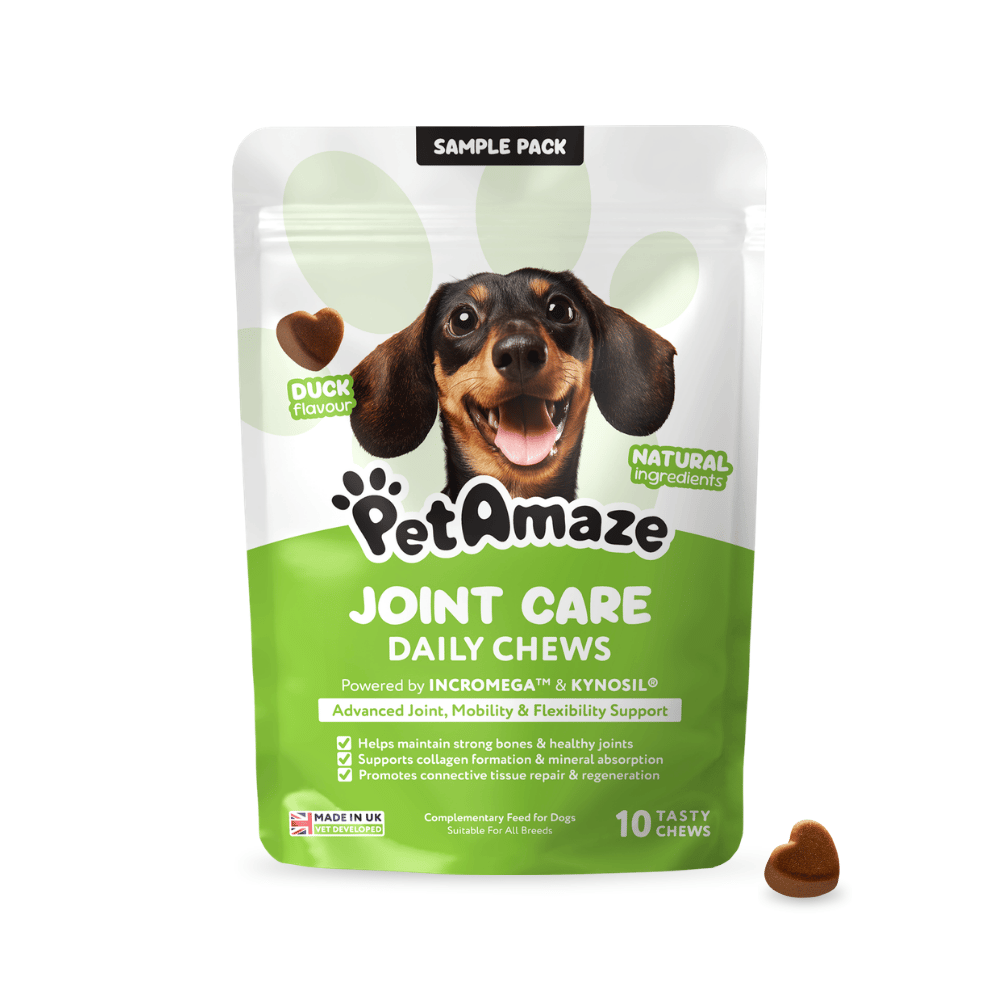 PetAmaze Joint Care Daily Chews sample pack for dogs on a white background