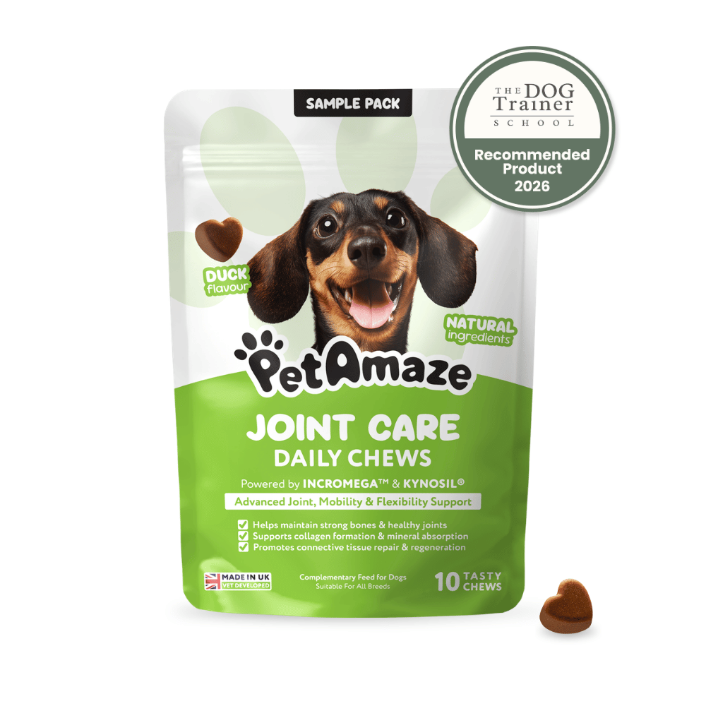 Joint Care Daily Chews - Sample Pack