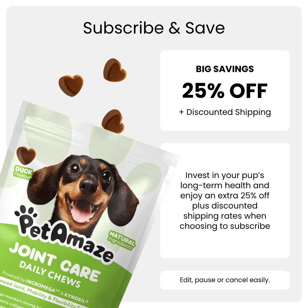 Joint Care Daily Chews - Sample Pack