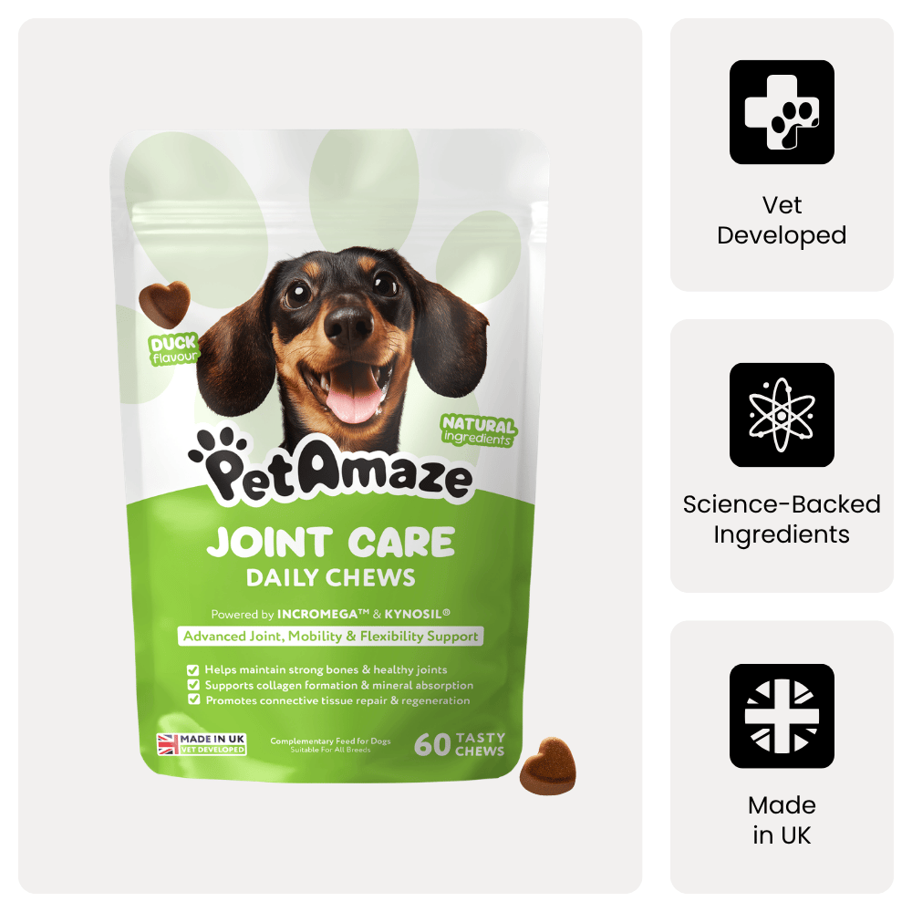 Joint Care Daily Chews - Sample Pack