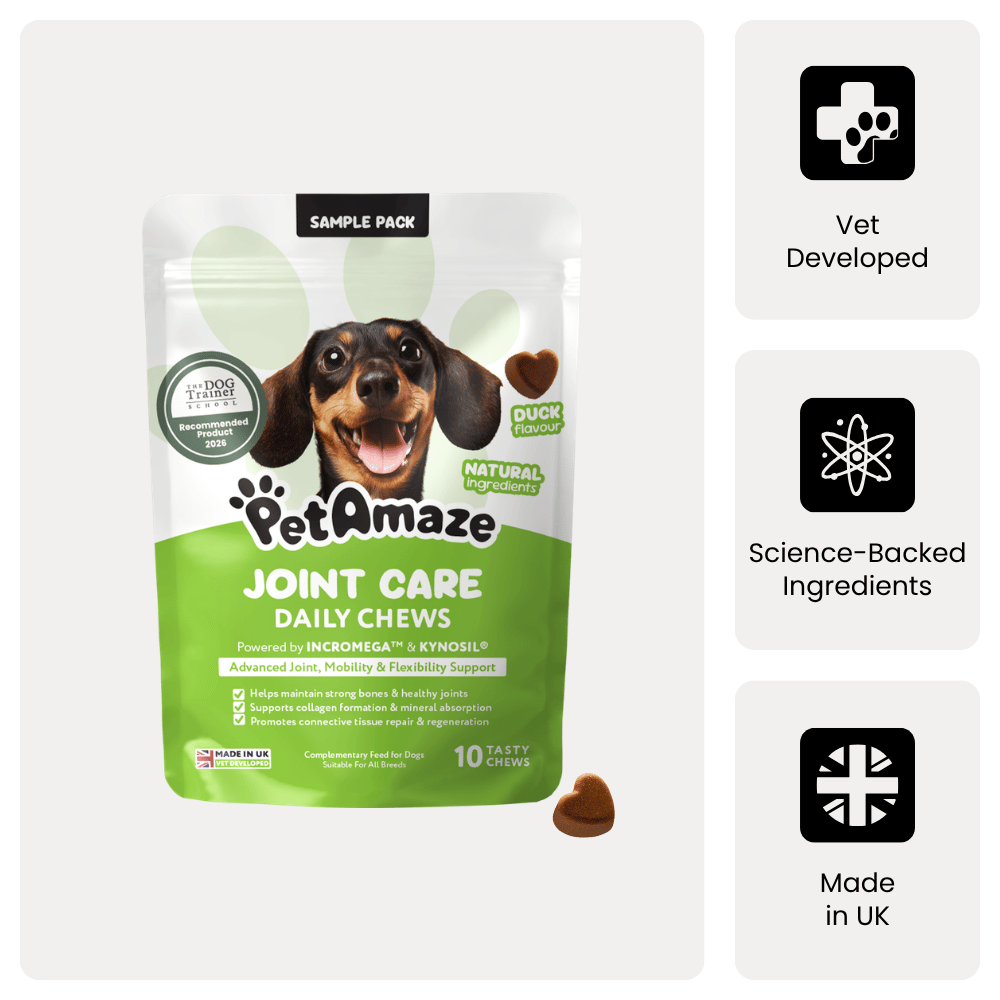 Joint Care Daily Chews - Sample Pack
