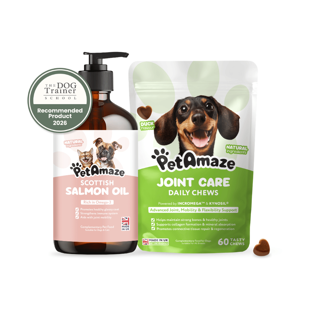Dog care products including a bottle of Scottish Salmon Oil and a package of Joint Care Daily Chews by PetAmaze on a white background.