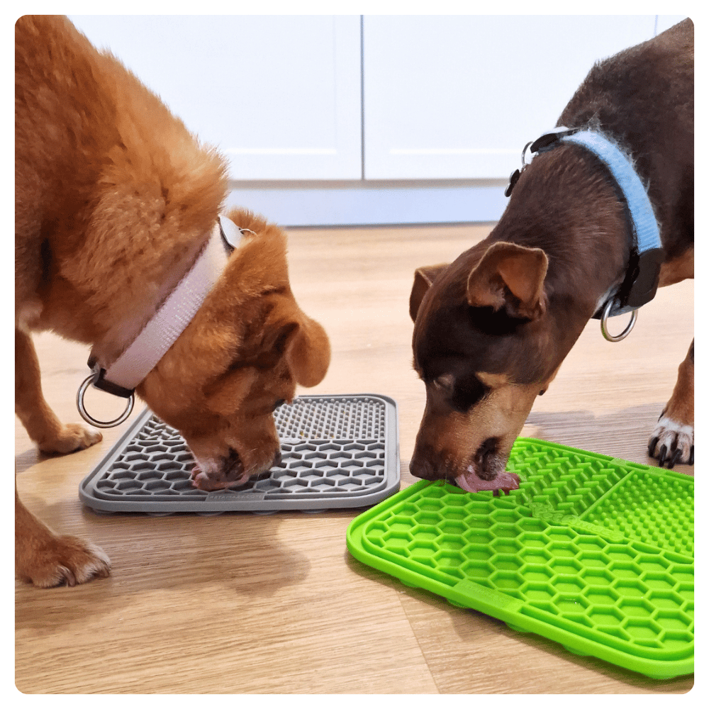 Two dogs licking snacks from green and grey lick mats on kitchen floor