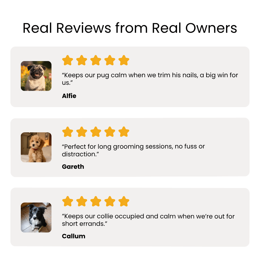 Reviews from real owners featuring images of dogs and their positive experiences.
