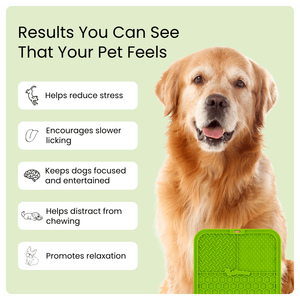 2-Pack Lick Mat Set for Dogs & Cats (Light Grey & Green)