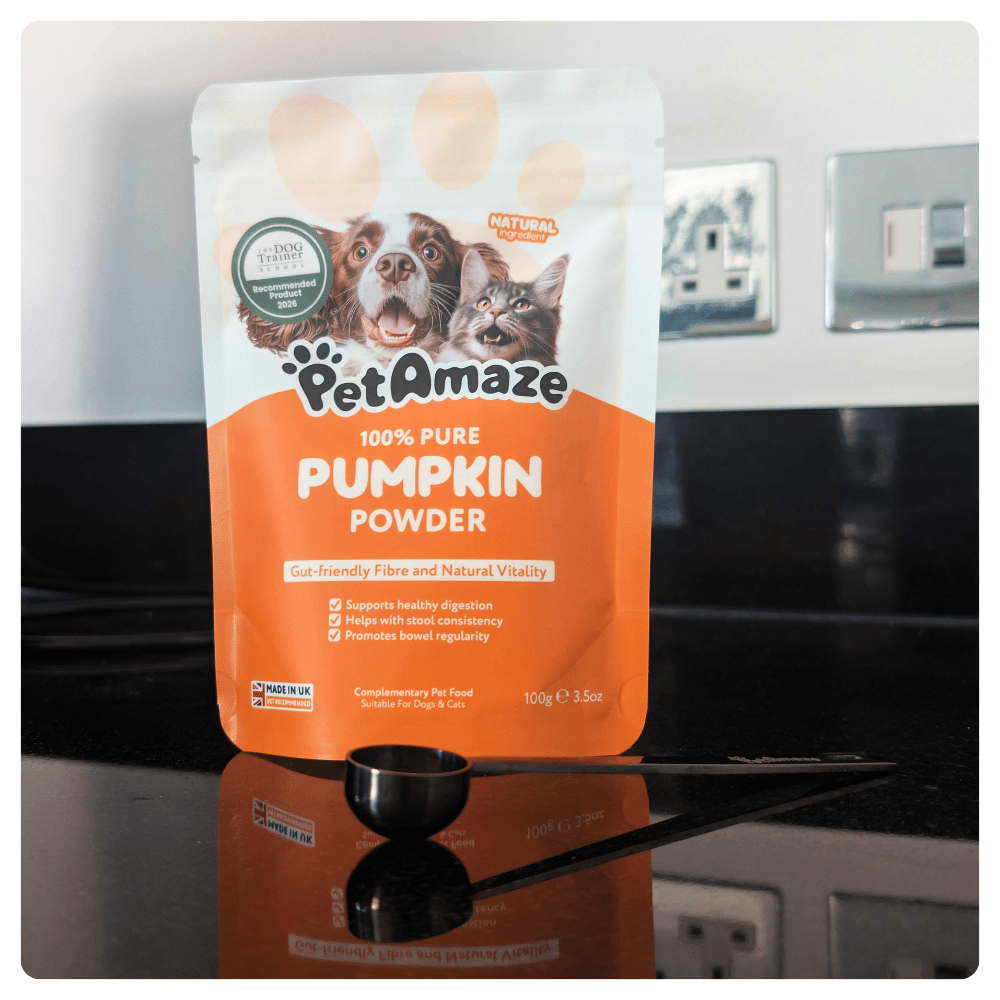 PetAmaze measuring scoop for pumpkin powder on a kitchen counter