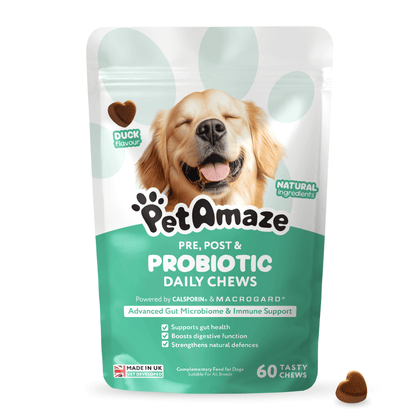 PetAmaze probiotic daily chews packaging with a dog on the label