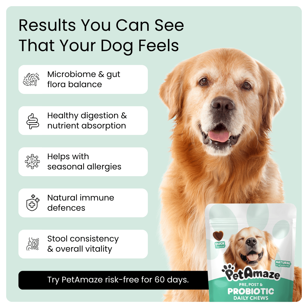 PetAmaze probiotic daily chews benefits
