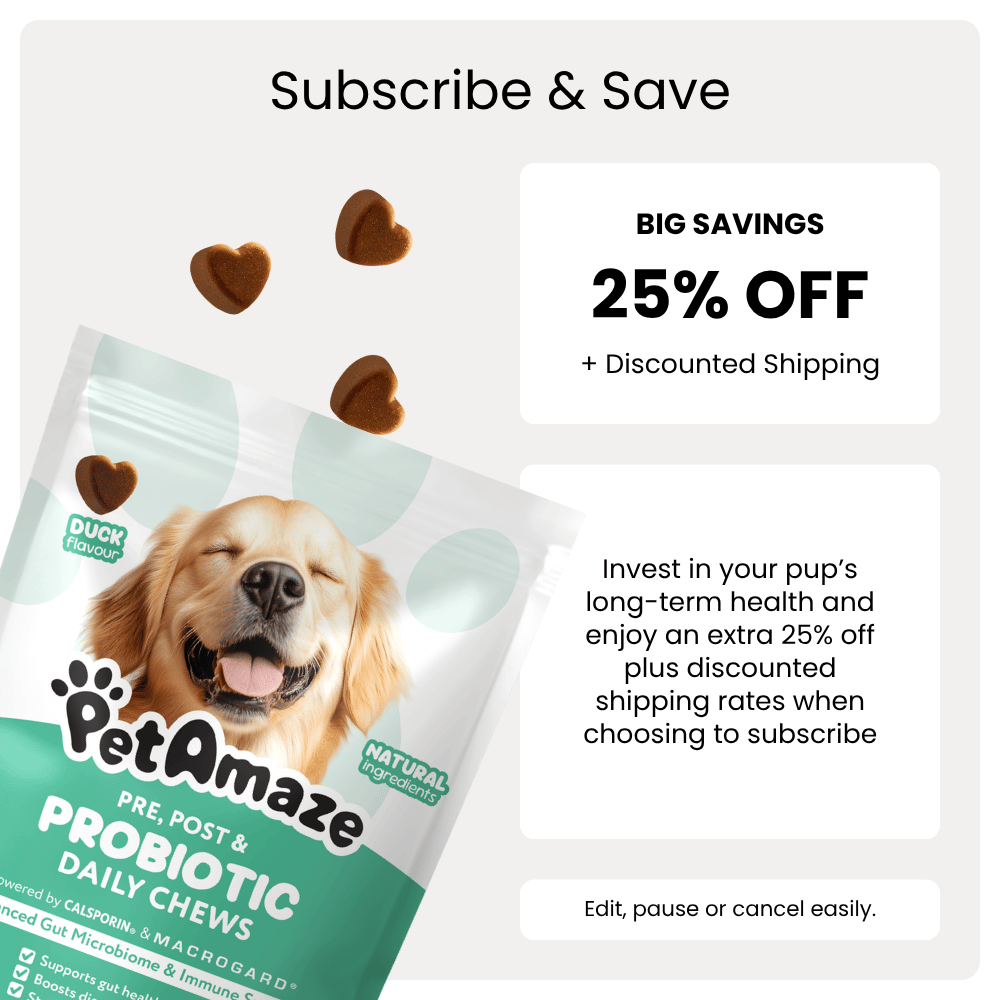 PetAmaze probiotic daily chews packaging with promotional text on a white background