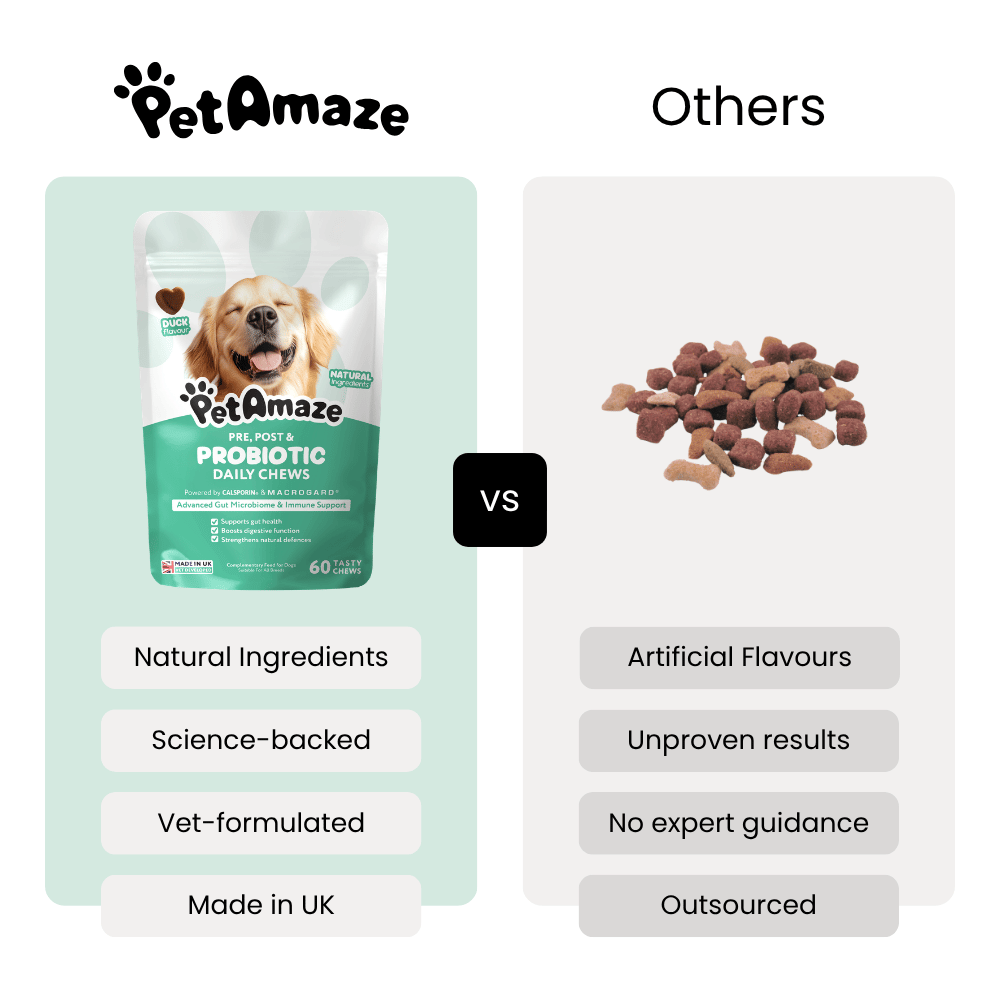 Comparison between PetAmaze dog chews and other dog treats with text highlighting differences.