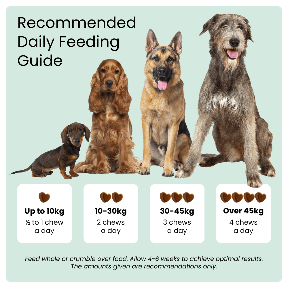 Feeding guide for dogs with images of different breeds and recommended chew counts.