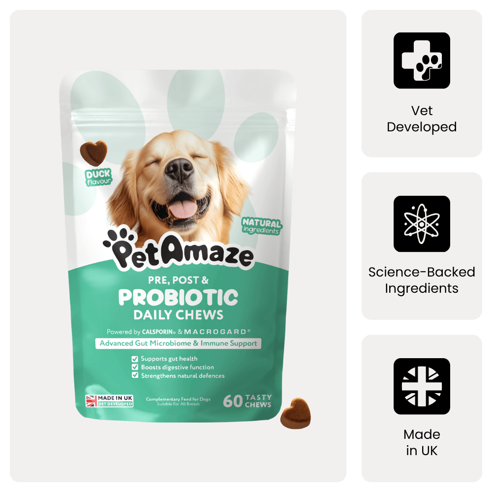 PetAmaze pre, post & probiotic daily chews packaging with a dog on the label.