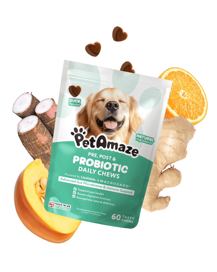 PetAmaze probiotic daily chews package with dog illustration, surrounded by fruits and vegetables on a green background