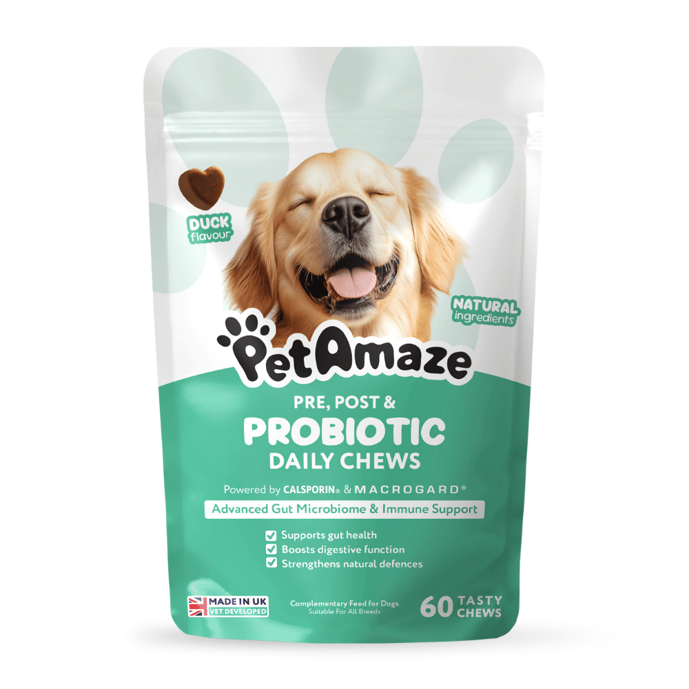 Pre, Post & Probiotic Daily Chews