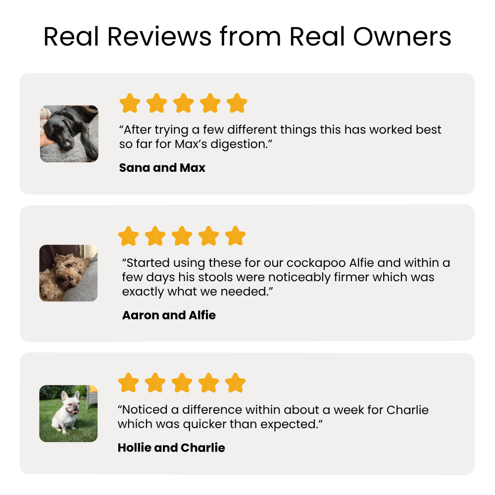 Reviews from real owners with star ratings and text on a white background