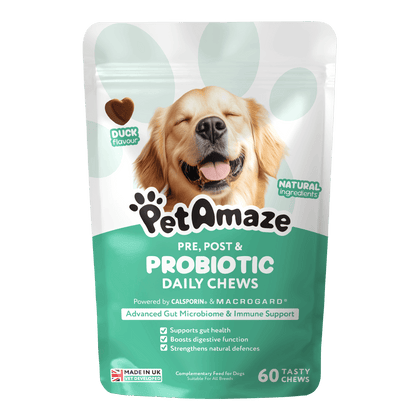Pre, Post & Probiotic Daily Chews