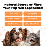 Pumpkin powder benefits for pets, supports loose stools, constipation, sensitive tummies, travel upsets and diet changes