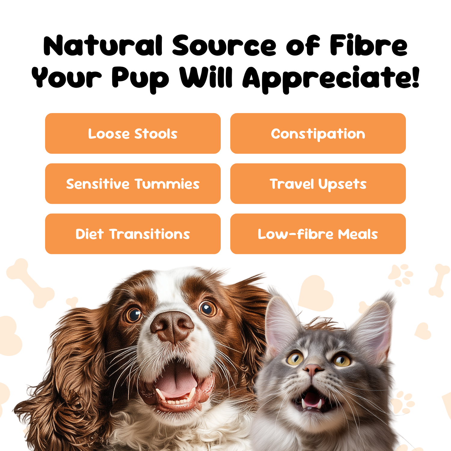 Pumpkin powder benefits for pets, supports loose stools, constipation, sensitive tummies, travel upsets and diet changes