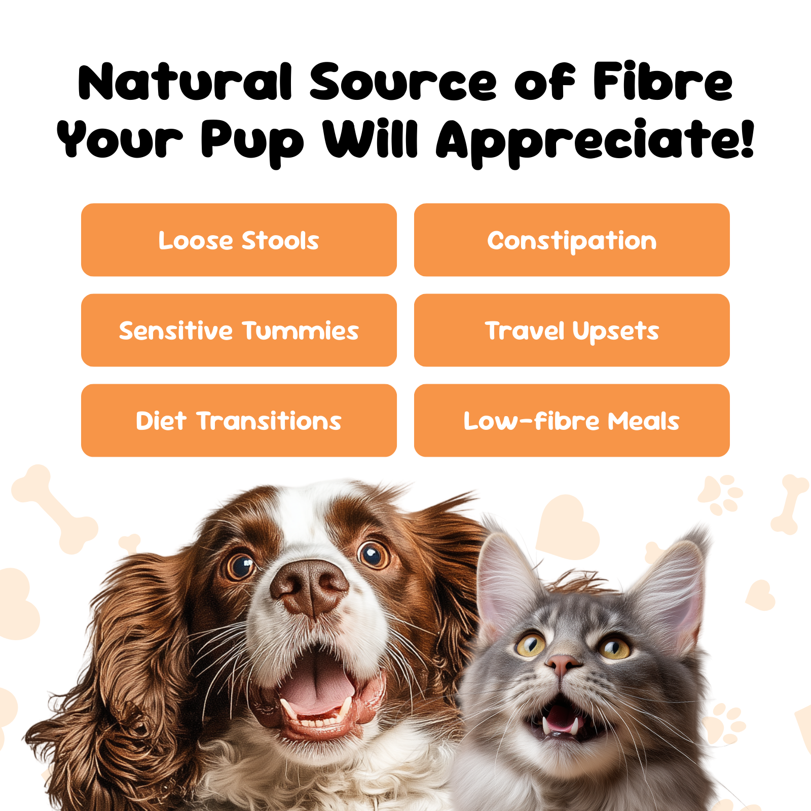 Pumpkin powder benefits for pets, supports loose stools, constipation, sensitive tummies, travel upsets and diet changes