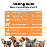 Feeding guide for pumpkin powder, daily scoops by dog size and cats, one teaspoon equals five grams